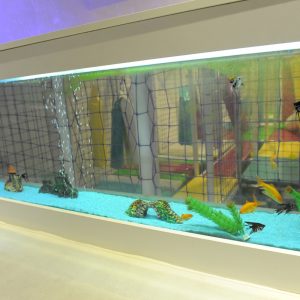 deija-igraonica-lucky-star-vozdovac-beograd-13 deija-igraonica-lucky-star-vozdovac-beograd-13